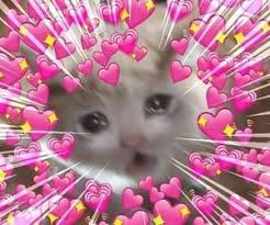 In Love Reaction And Sweet Image Cute Love Memes Reaction Pictures Cute Memes