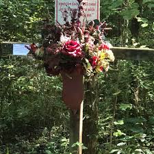 We did not find results for: God S Acre Healing Springs Blackville 2021 All You Need To Know Before You Go With Photos Tripadvisor