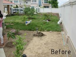 The reed grasses (under the large bay window) will provide year long interest with the golden reeds once grown. Low Maintenance Garden In Bangkok Thai Garden Design