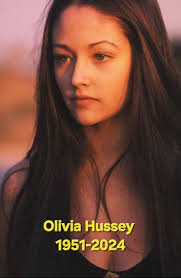 Evie Anastasiou McCarty