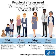 Vaccines Help Protect Against Whooping Cough Cdc