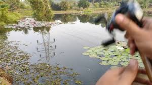 Kolam pancing seksyen 24 shah alam. Casting Peacock Bass Di Tasek Sek 8 Shah Alam Youtube