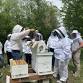 October 25th EMBA Open Apiary Day event image