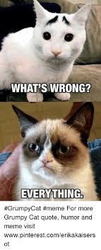 Grumpy cat jokes, grumpy cat quotes, funny grumpy cat quotes …for more hilarious humor and funny pics visit www.bestfunnyjokes4u.com. What S Wrong Everything Grumpycat Meme For More Grumpy Cat Quote Humor And Meme Visit Wwwpinterestcomerikakaisersot Meme On Me Me