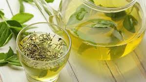 Yesil Cayin Faydalari Nelerdir Yesil Cay Neye Iyi Gelir Saglik Haberleri