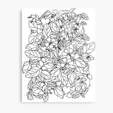 Competidora de arco y flecha para colorear. Laminas Metalicas Diversi C3 B3n Para Colorear Redbubble