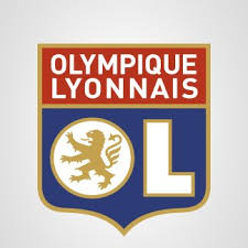 The france national football team (french: Most Popular French Football Clubs