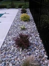 Refreshing A Swimming Pool Landscape All About The House Inground Pool Landscaping Landscaping Around Pool Landscaping With Rocks
