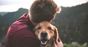 Submit claims using our free app, online, or by email, fax, or mail. The Best Dog Insurance Companies Of 2021 Reviews Guide