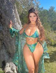 The beauty has also appeared in clips with dj khaled and chris brown. Demi Rose Wiki Biography Age Family Career Facts Net Worth