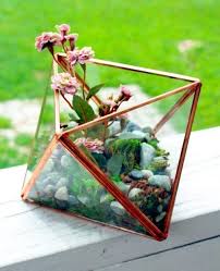 Diy Geometric Glass Terrarium Learn How To Create Your Own Diy Geometric Glass Terrarium Filled Wi Terrarium Decor Diy Succulent Terrarium Geometric Terrarium