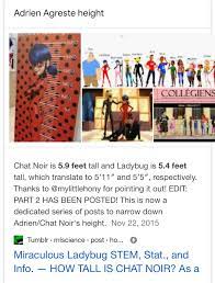 How Tall Is Marinette From Miraculous Ladybug