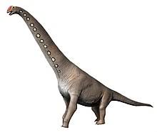 Brachiosaurus Wikipedia