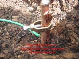 We did not find results for: Grounding Electrode System In A Home