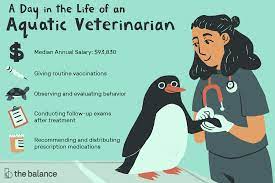 Check out our website at: Aquatic Veterinarian Job Description Salary Skills More