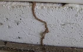 From pet areas and putting at bricks pavers specialist, we have installed premium synthetic grass for clients in oro valley, tucson, marana, green valley, sahuarita, catalina. Residential Termite Control Services In Tucson Az From Eco Pest Llc