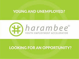 Paid And Unpaid Internship Jobs In South Africa Gumtree