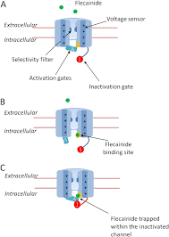 Image result for Flecainide