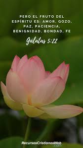 Versiculos Biblicos Sobre El Amor Galatas 5 22 En 2020 Frases De Animo Dios Frases De Salmos Versiculos De La Biblia