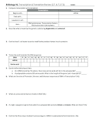 Dna, transcription and translation, protein synthesis guided reading assignment. Protein Synthesis Review Translation Transcription Worksheet Sumnermuseumdc Org