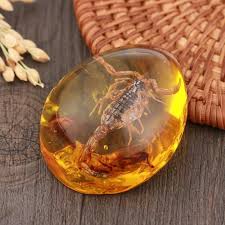 Scorpio Amber Gemstone 5 Styles In 2020 Amber Gemstone Stone Ornaments Amber Stone