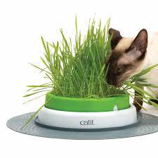 7 van ness grass for cats. Senses 2 0 Cat Grass Kit Catit