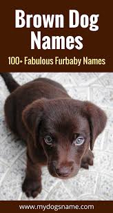 Black And Brown Dog Names Fabulous Dog Names For Your Brown Furbaby These Brown Dog Names Are Perfect If You Have A Dog With All Brown Fur Or E Brown Dog Names Dog Names Girl Dog