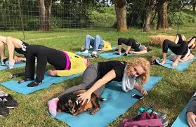 Discover floor plan options, photos, amenities, and our great location in corvallis. Up Ward Goat Yoga Eugene Weekly