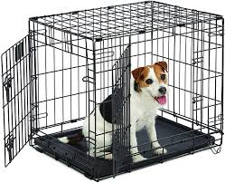 We did not find results for: Amazon Com Life Stages Ls 1624dd Double Door Folding Crate For Small Dogs 11 25lbs Metal Dog Cage Pet Supplies