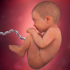 40 Wochen Schwanger Babycenter