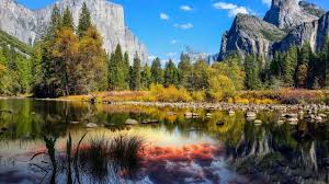 Download beautiful vivid and colorful pics from our gallery and experience a relaxing feeling every time you look at your screen. Nature Wallpaper Collection Amazing Nature Wallpapers Hd Wallpaper Hd Nature Video Youtube