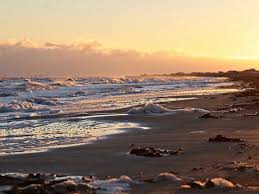 Grand isle, grand isle, la. Grand Isle Rentals Rental Properties In Grand Isle Louisiana