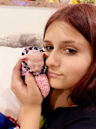 GoldenGirls Sphynx Cattery