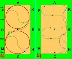 Zweck der leistungsabzeichen ist in erster linie die vermittlung und überprüfung theoretischer und praktischer fähigkeiten im pferdesport. Richterseminar Disziplin Jungpferdeprufungen Jupf Pdf Kostenfreier Download