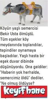 Koyun Semercisi Fikra Koyunsemercisi Esek Bekirusta Aphorisms Haha Pics