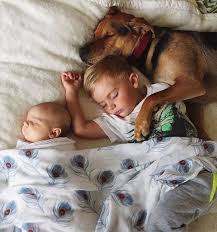 Pin By The Art Father On Animal Love Dogs And Kids Baby Sister New Baby Products
