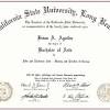 In europe the original distinction between a thesis and a dissertation has been largely retained. 1