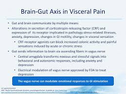 Pathophysiology Of Visceral Pain Ppt Download