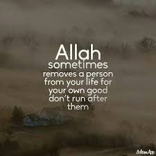Pin On Imaan