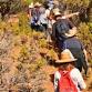 Red Canyon Petroglyph Trek