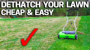 Although this is low maintenance and tough kind of grass still plants need some sort of maintenance in general. Lawn Dethatching Guide How When To Detatch Your Lawn Lawn Chick