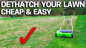 Only dethatch during an active growing time. Lawn Dethatching Guide How When To Detatch Your Lawn Lawn Chick