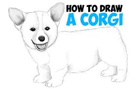 Make a huge curve and stop. How To Draw A Corgi Puppy Easy Step By Step Realistic Drawing Tutorial For Beginners How To Draw Step By Step Drawing Tutorials
