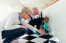 Is a building and pest inspections always necessary? Should You Pay For A Pest Inspection Before Closing On An Apartment