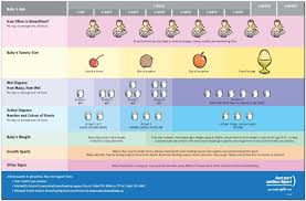 Breastfeeding Starting Your Breastfeeding Journey Right