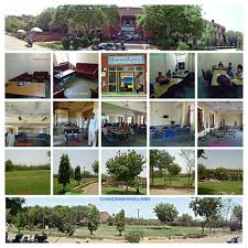 We did not find results for: Chandrabhaga Hostel Welcome To Jawaharlal Nehru University