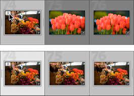 Software like helicon focus and zerene stacker can focus stack images, and. How To Stack Photos In Lightroom Classic