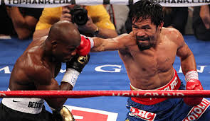 Big bottles for those big moments… Box Splitter