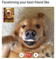 36 World Class Memes That Are Freaking Awesome Ladnow Funny Friend Memes Funny Animal Memes Animal Memes