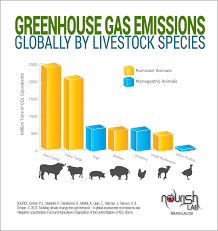 Pin On Combating Climate Change Through Diet